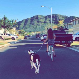 Meet your Posher, Tyler